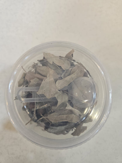 Sidr Leaf